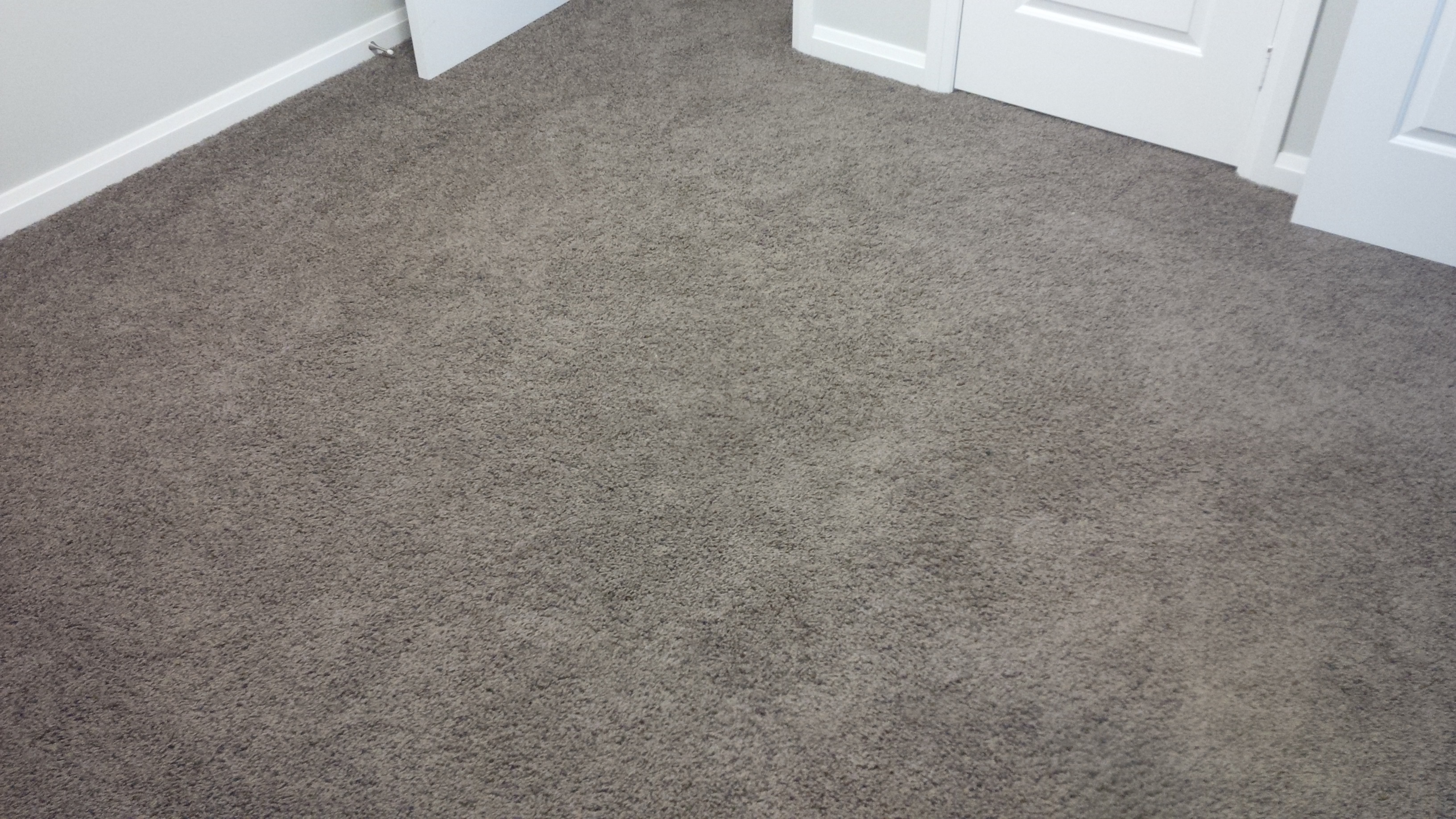 Flooring/IMG_20190111_092719.jpg